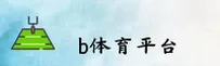 使用指南与常见问题